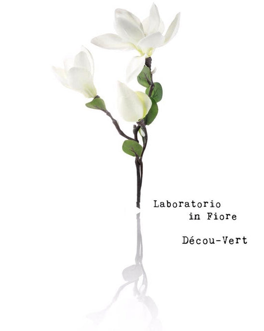 Décou-Vert, 30ml - Narcisse